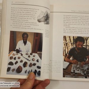 Ancestors In Search of Human Origins by Donald & Lenora Johanson et al (hardcover) - Image 10