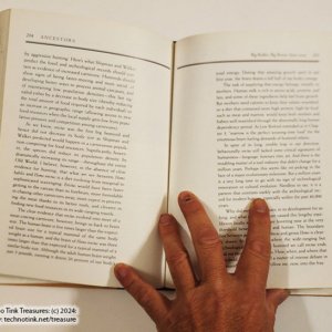 Ancestors In Search of Human Origins by Donald & Lenora Johanson et al (hardcover) - Image 11
