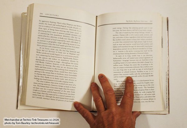 Ancestors In Search of Human Origins by Donald & Lenora Johanson et al (hardcover) - Image 11