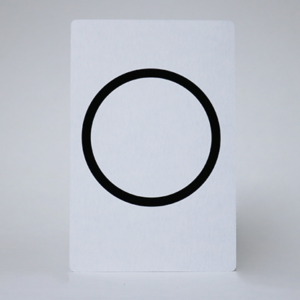 Bicycle Jumbo Cards for Magic Tricks - Image 2