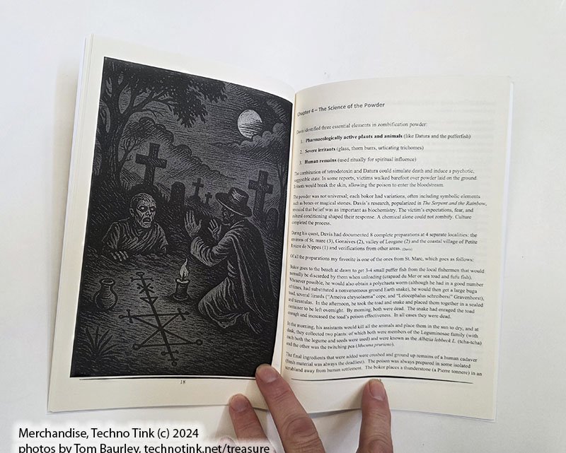 Haitian Horror by Thomas Baurley (Paperback: July 2025) - Image 9