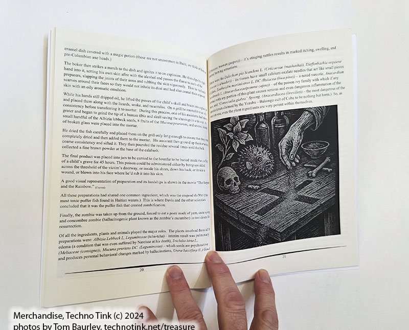 Haitian Horror by Thomas Baurley (Paperback: July 2025) - Image 10