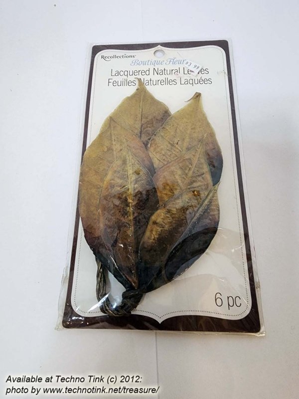 RECOLLECTIONS Boutique Fleur Lacquered Natural Gold Leaves Embellishments 6pcs