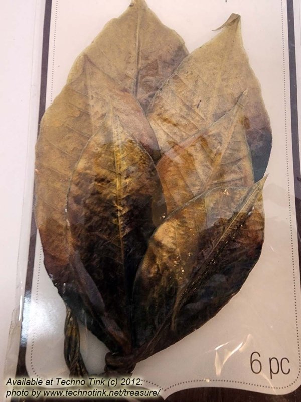 RECOLLECTIONS Boutique Fleur Lacquered Natural Gold Leaves Embellishments 6pcs - Image 4