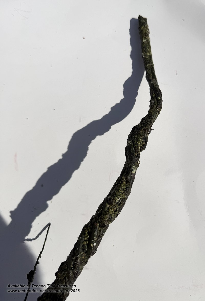 Artificial vine branch, foam wire 34x3x1 - Image 4