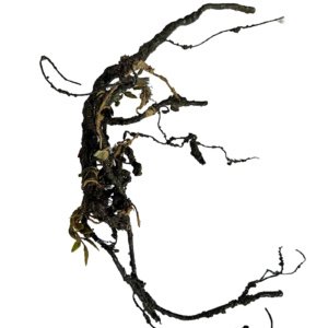 Artificial vine branch, foam wire 34x3x1