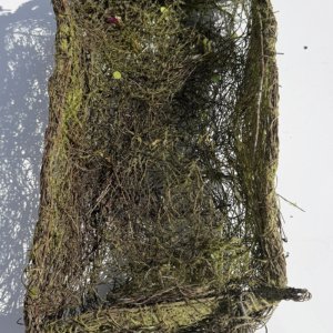 Moss and Twig Basket 16x10x4 (Used)