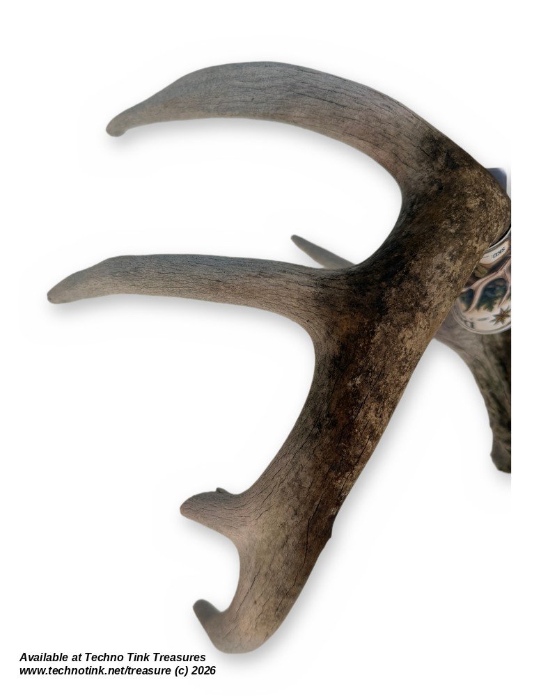 Branched Deer Antler - 3 Branch Y