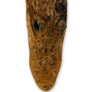 Vintage Florida Souvenir Alligator Head - Dried Gator Head w/ Broken Jaw Halves