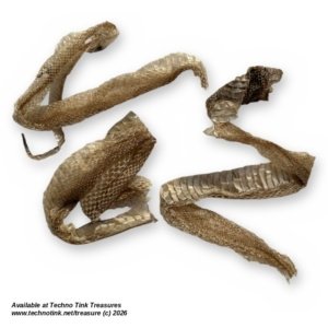 Shed Snake Skin - Long Natural Molted Snakeskin Strips, Bagged Lot