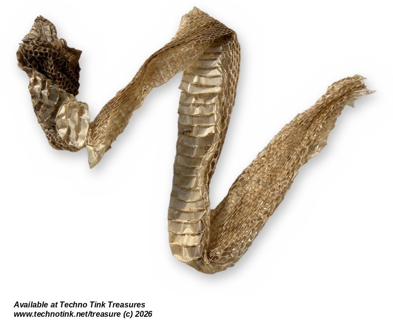Shed Snake Skin - Long Natural Molted Snakeskin Strips, Bagged Lot - Image 2