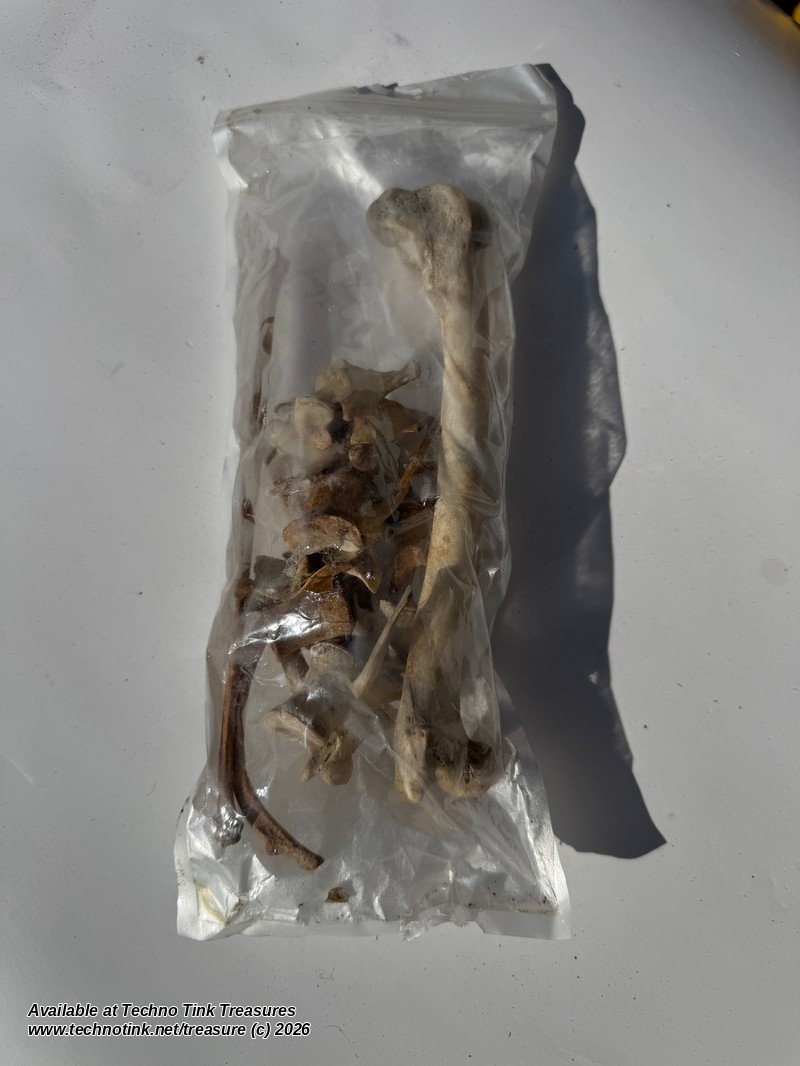Small Mammal Bone Lot - Femur, Vertebrae, Rib & Long Bone - Bagged Set - Image 3