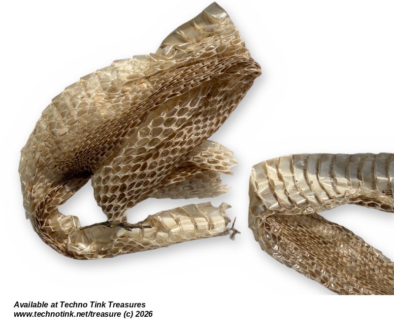 Shed Snake Skin - Long Natural Molted Snakeskin Strips, Bagged Lot - Image 3