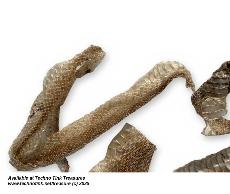 Shed Snake Skin - Long Natural Molted Snakeskin Strips, Bagged Lot - Image 4
