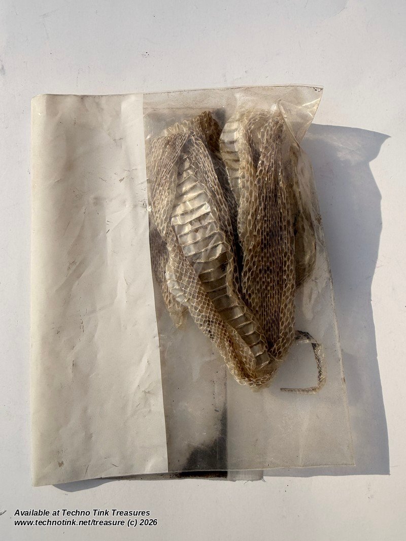 Shed Snake Skin - Long Natural Molted Snakeskin Strips, Bagged Lot - Image 5