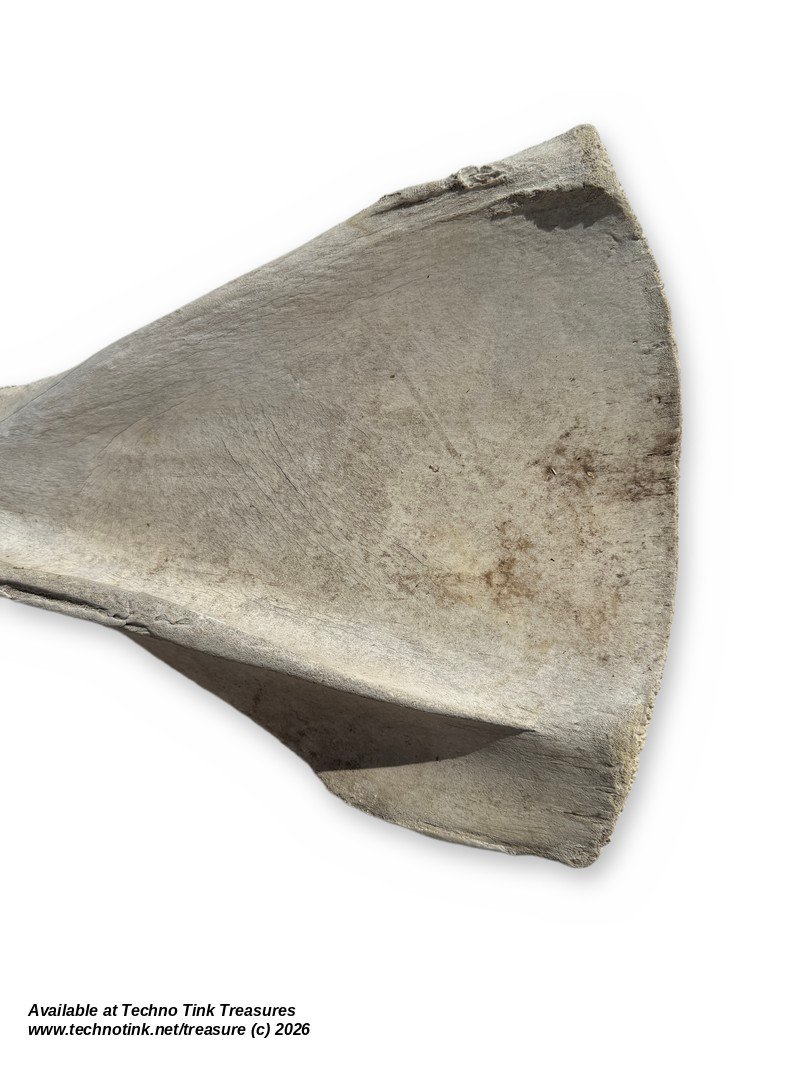 Large Weathered Cow Scapula Shoulder Blade, 15.5 Inches - Natural Bone Oddity - Image 6